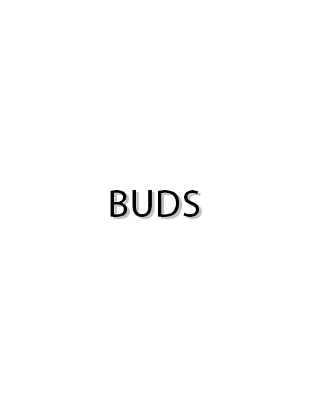 Buds