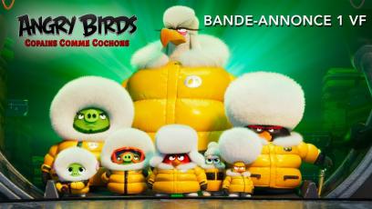 Angry-Birds-:-Copains-Comme-Cochons-video-1