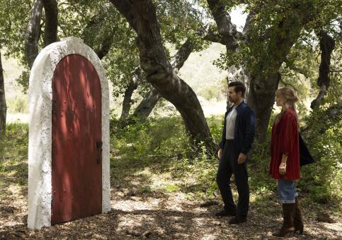 A big bold beautiful journey