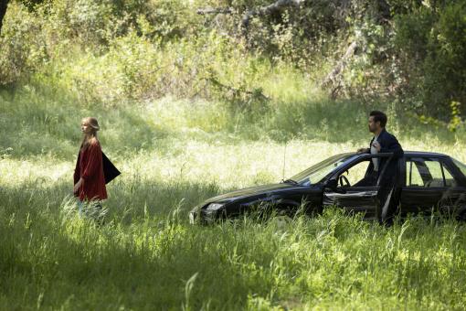 A big bold beautiful journey